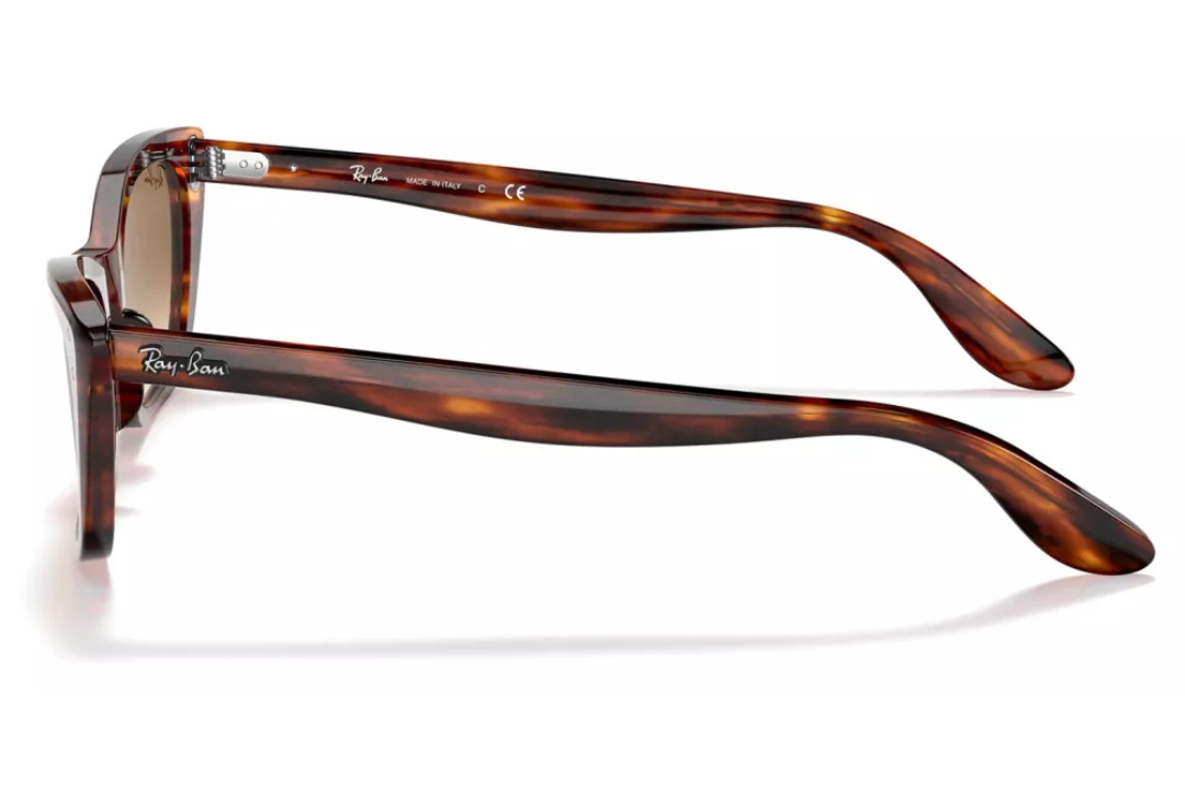 RAY BAN RB2299 954/51