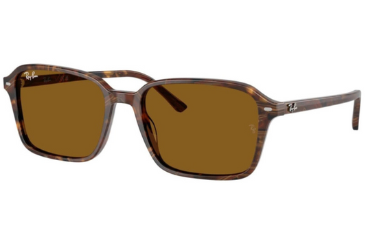 RAY BAN RB2231 141833