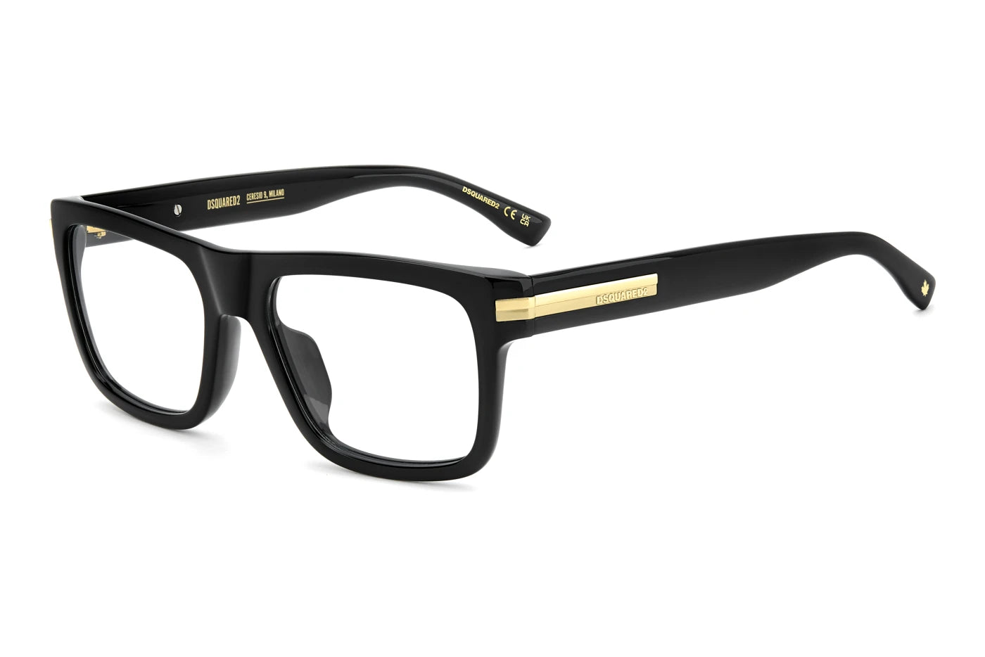 DSQUARED D2 0200/G 807
